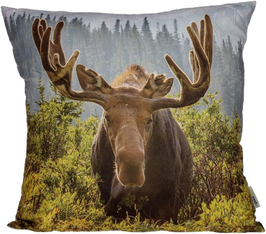 Moose Photo Cushion Cover with Insert 50 x 50cm - Aamu.co.uk - Puckator - Aamu.co.uk