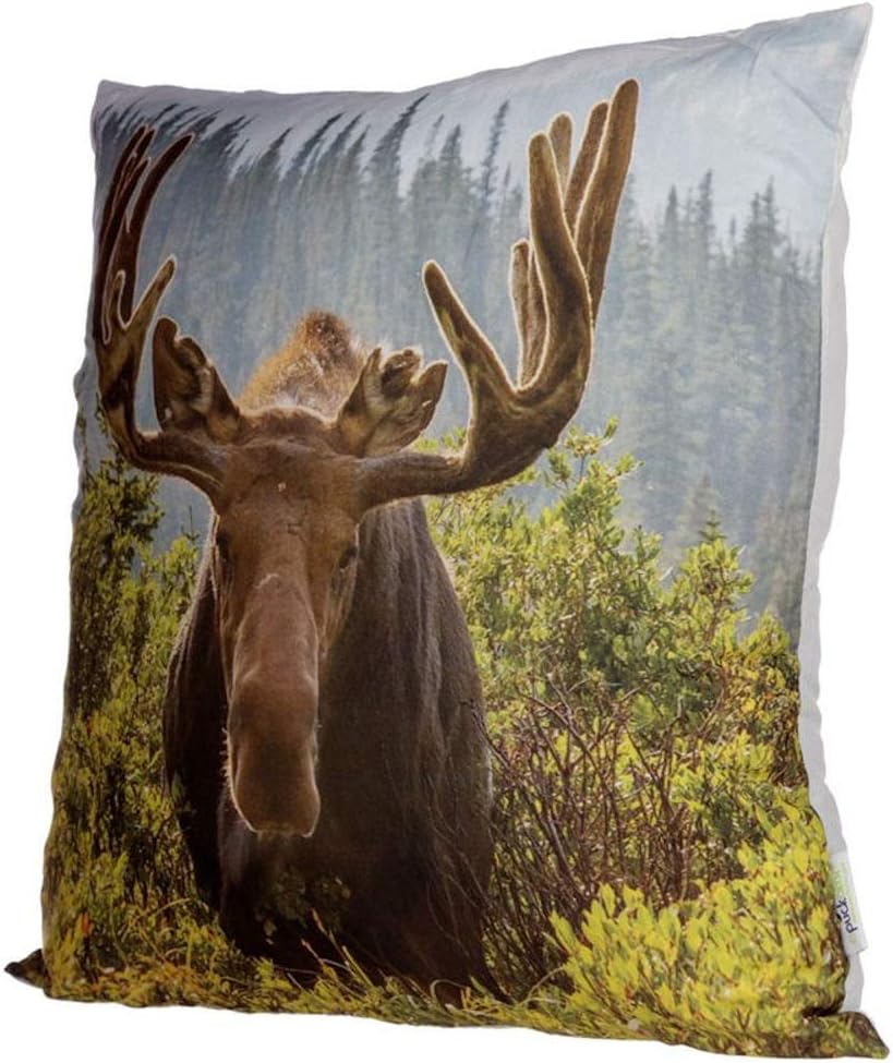 Moose Photo Cushion Cover with Insert 50 x 50cm