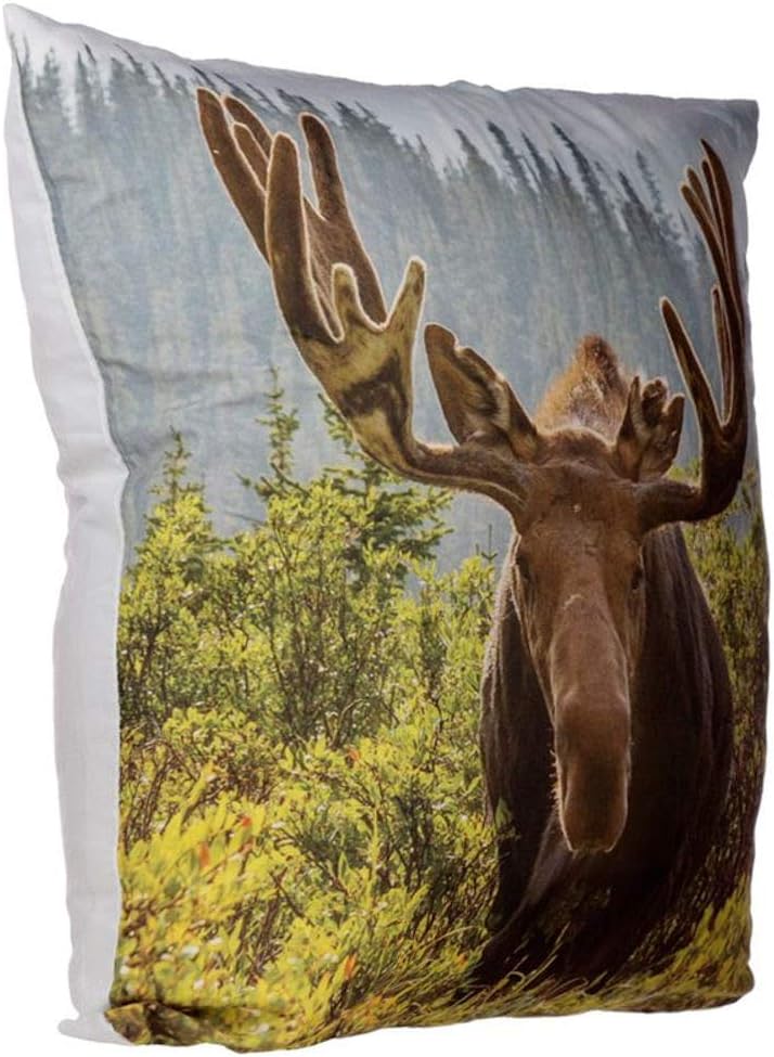 Moose Photo Cushion Cover with Insert 50 x 50cm