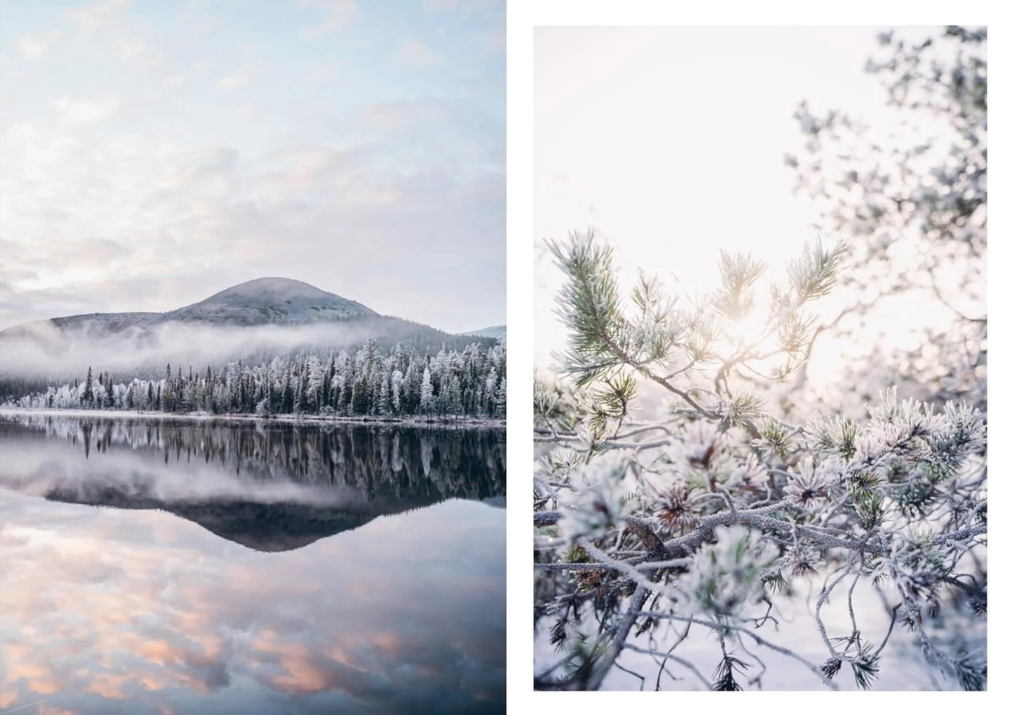 Food in the Woods – Vegetarian recipes from easy snacks to hiking meals